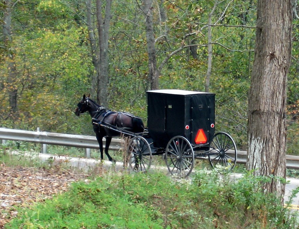 Horse and buggy