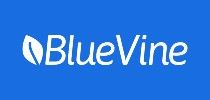 bluevine logo 210x100